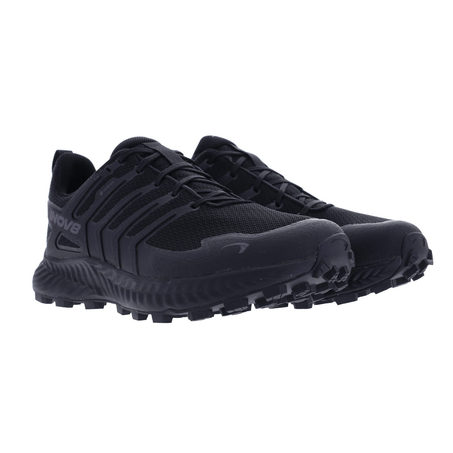 Roclite GTX Mens - Endurance Edge