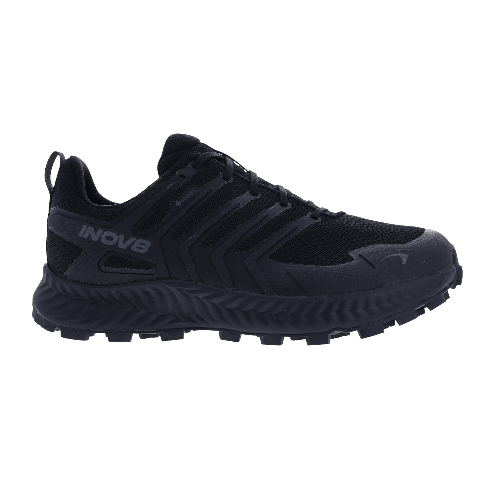 Roclite GTX Mens - Endurance Edge